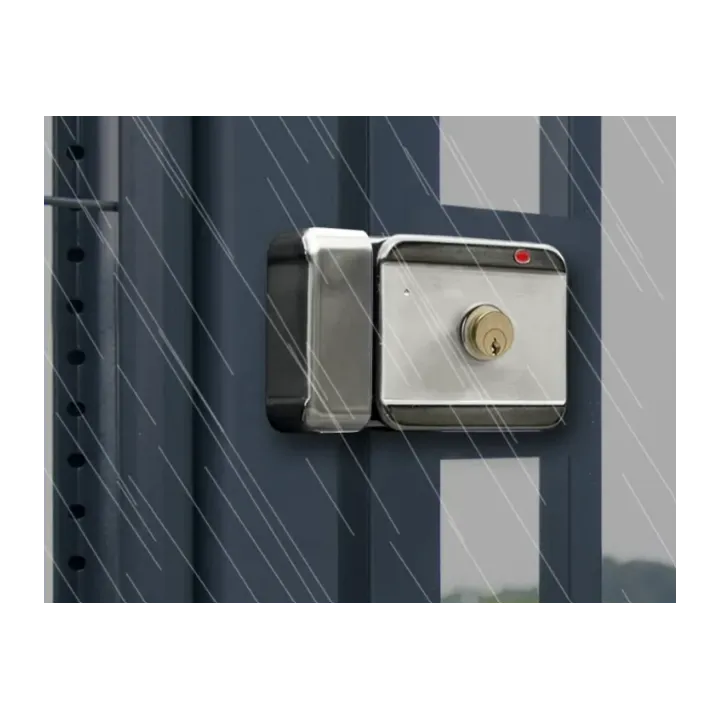 Serrure Électrique Applique 6000 N À Rupture 12-24V Dc Cylindre + Bp Dp