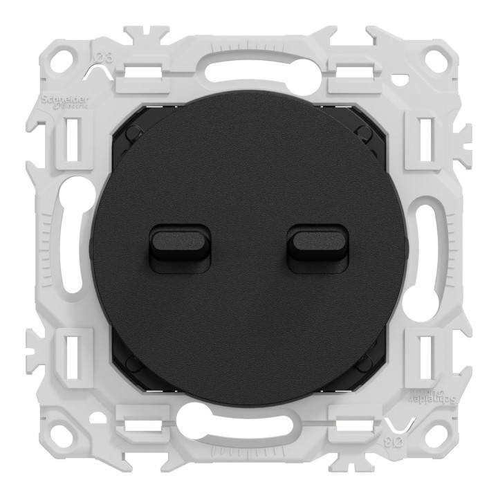 Odace - double va-et-vient ou poussoir à levier - 10AX - noir onyx