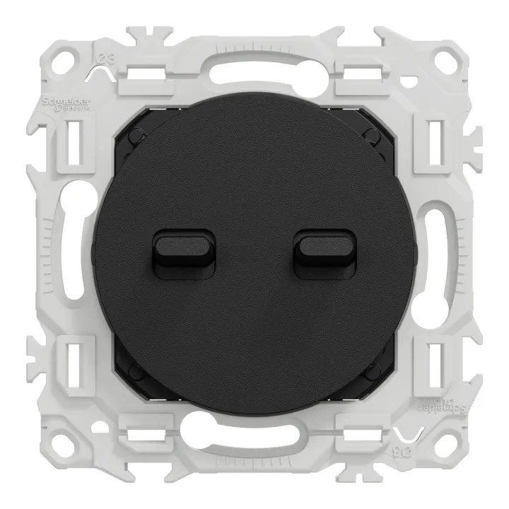 Odace - double va-et-vient ou poussoir à levier - 10AX - noir onyx