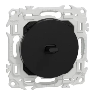 Odace - va-et-vient ou poussoir à levier - 10AX - noir onyx