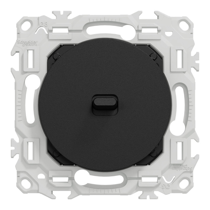 Odace - va-et-vient ou poussoir à levier - 10AX - noir onyx