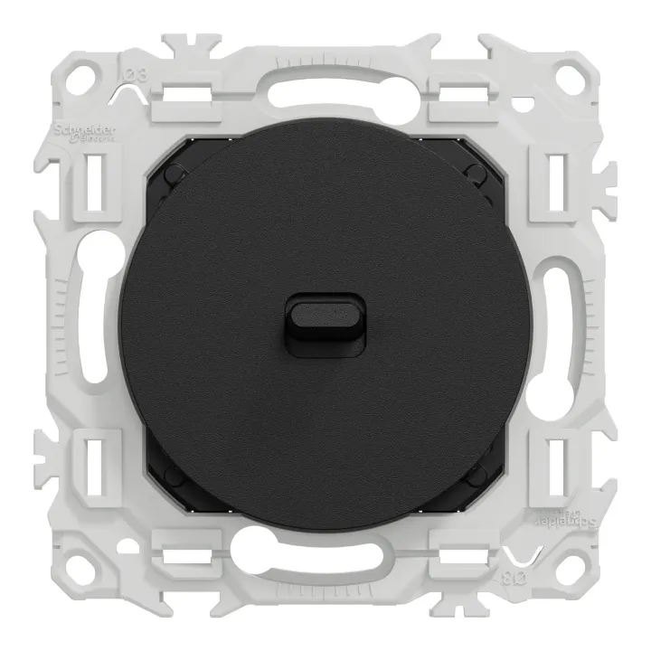 Odace - va-et-vient ou poussoir à levier - 10AX - noir onyx