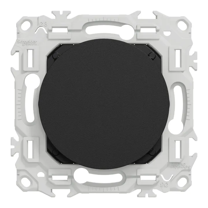Odace - obturateur - pré-perçage pour sortie de câble - noir onyx