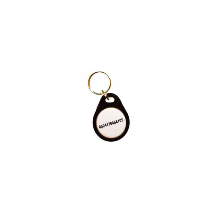 Badge Passif De Proximité Em Format Niso Jeton Porte Clé, Pour Lecteur 125Khz