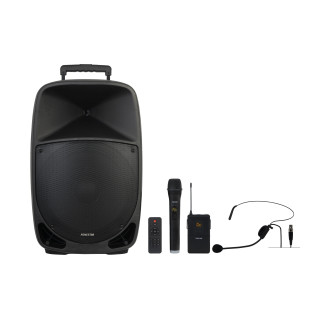 Haut-Parleurs Portable 250W 2 Micro Uhf