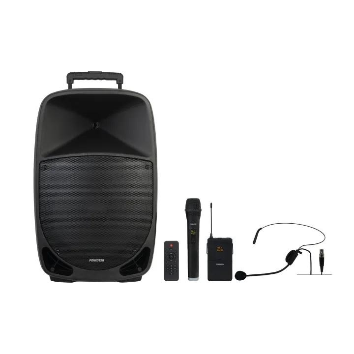 Haut-Parleurs Portable 250W 2 Micro Uhf