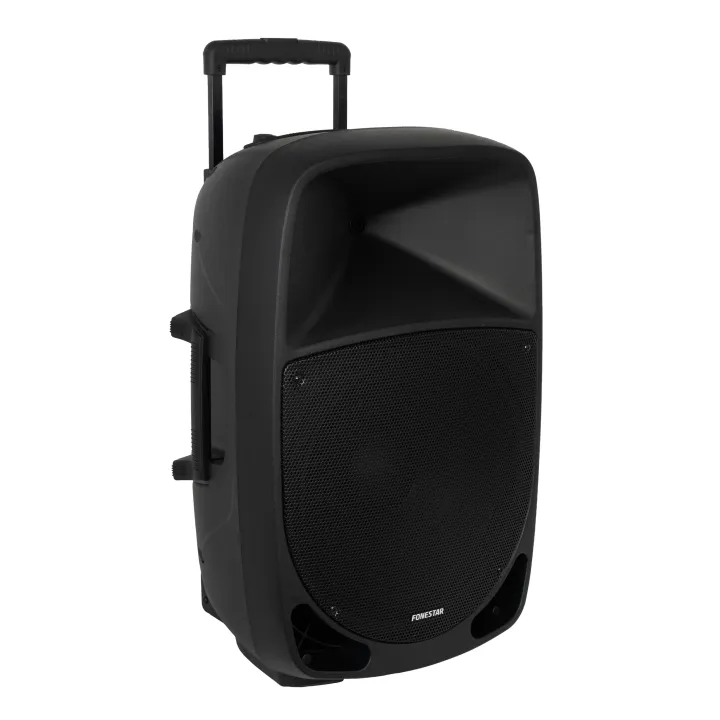 Haut-Parleurs Portable 250W 2 Micro Uhf