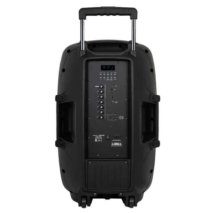 Haut-Parleurs Portable 250W 2 Micro Uhf