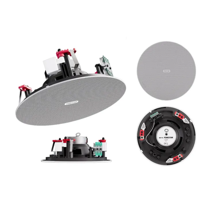 Haut-Parleur De Plafond 6'' À Basse Impédance