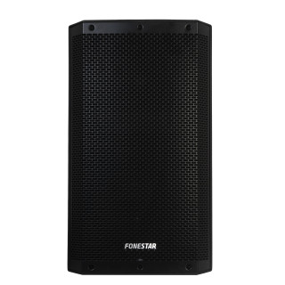 Haut-Parleur Passif Haute Puissance 500W Rms