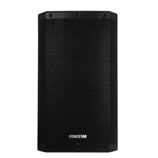 Haut-Parleur Passif Haute Puissance 500W Rms