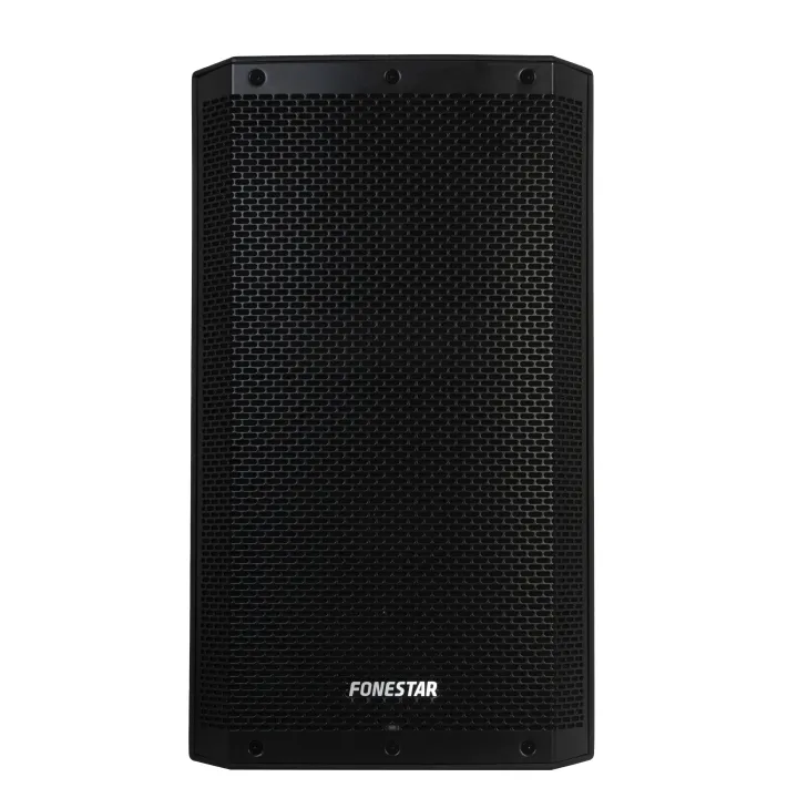 Haut-Parleur Passif Haute Puissance 500W Rms