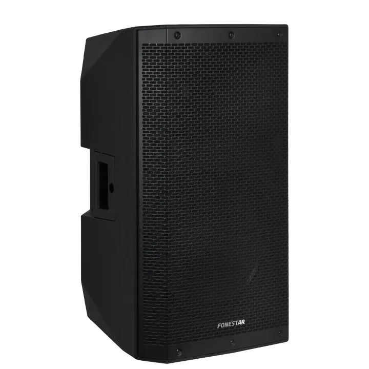 Haut-Parleur Passif Haute Puissance 500W Rms