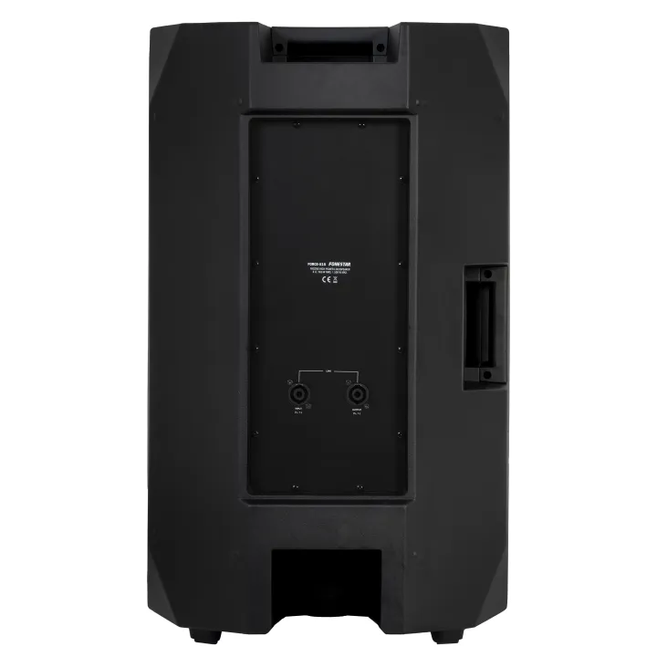 Haut-Parleur Passif Haute Puissance 500W Rms