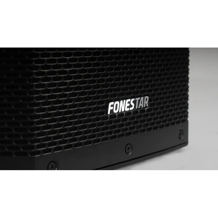 Haut-Parleur Passif Haute Puissance 500W Rms
