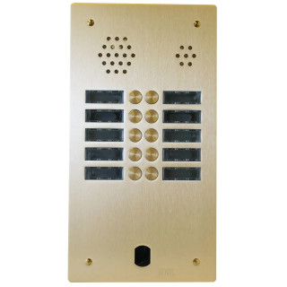Plaque Audio Alu 2R 10Bp 2Voice Montée Champagne