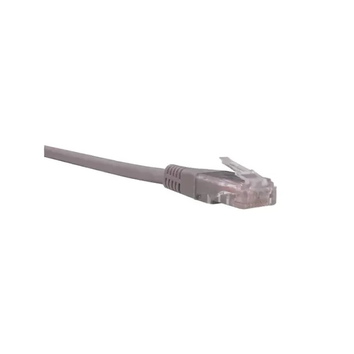 Cordon Rj45 Cat6 Uutp 100Ohm Surmoule Grus Lg 03M