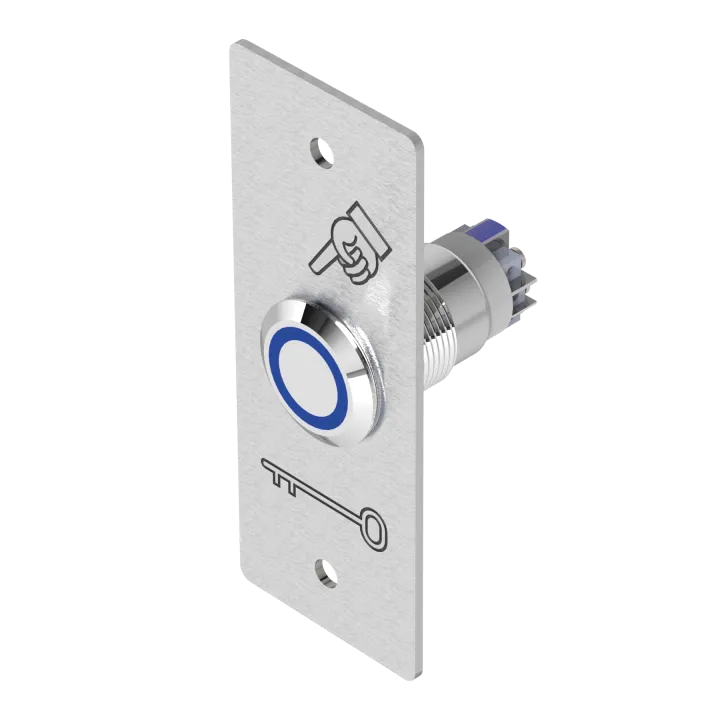 Bouton Poussoir Inox Bleu 19 Mm No+Nc 12V Dc Bornier À Vis