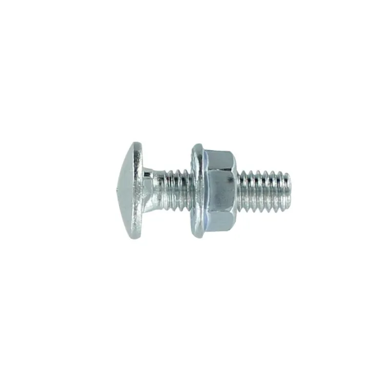 Boîte P 100 Boulon Trcc 6X12