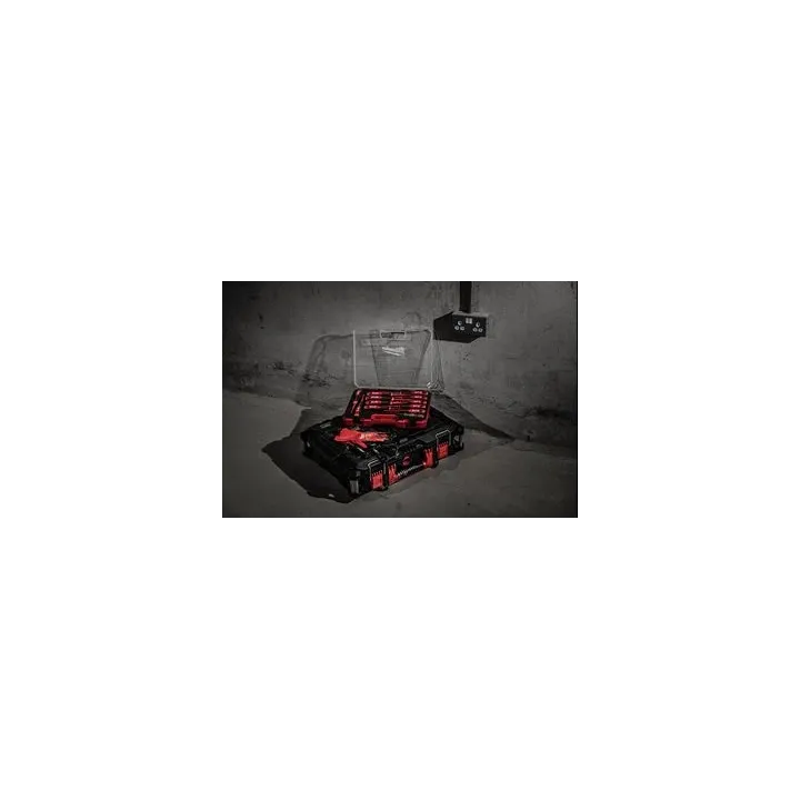 TOURNEVIS TRILOBE VDE  PZ2 X100