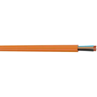 Cr1/C1 Antus Feu 2X25 N/B