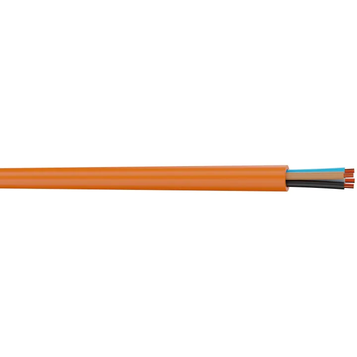 Cr1/C1 Antus Feu 2X25 N/B