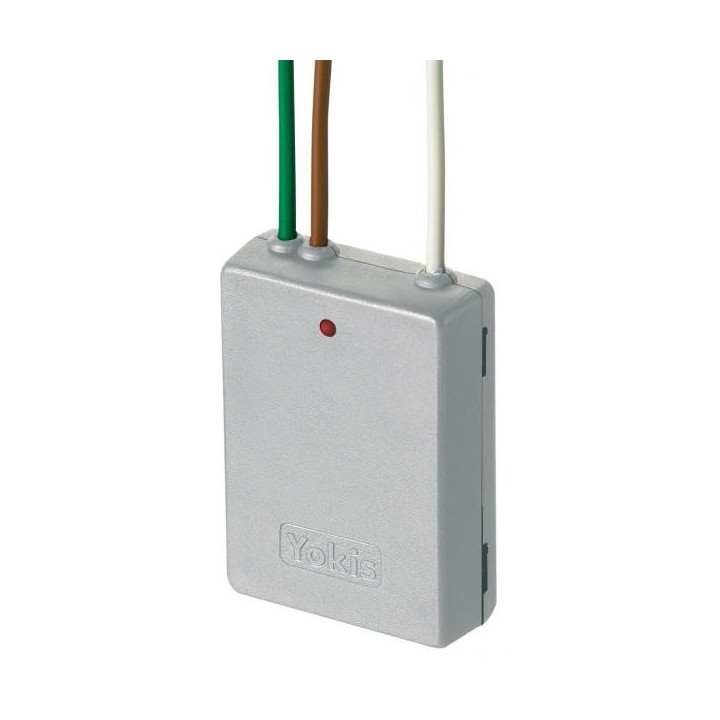 Emetteur 2 Canaux Power