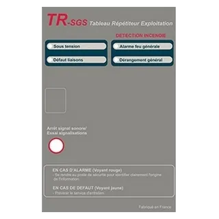 Tableau Répétiteur D'Exploitation Tr-Sgs Pour Centrale Alpha