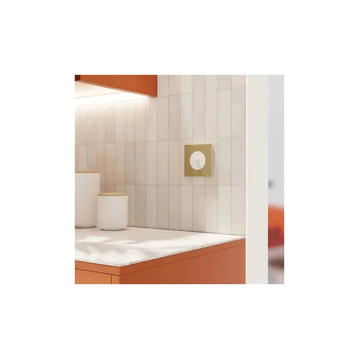 Plaque de finition 1 poste - effet Laiton support blanc