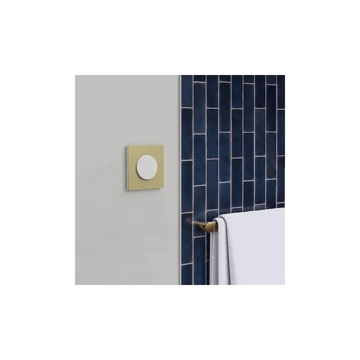 Plaque de finition 1 poste - effet Laiton support blanc