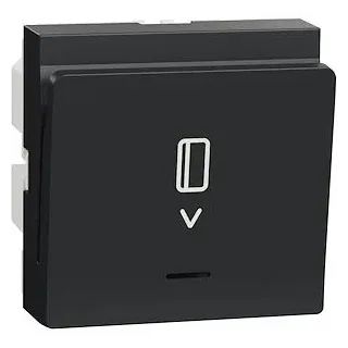 Cde à carte elect 10A 2m Anthr