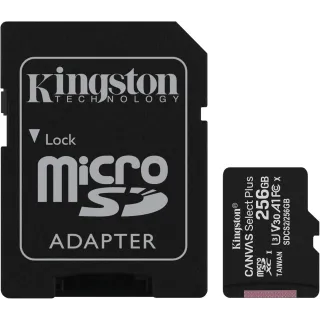 KINGSTON Carte mémoire microSDXC 256Go