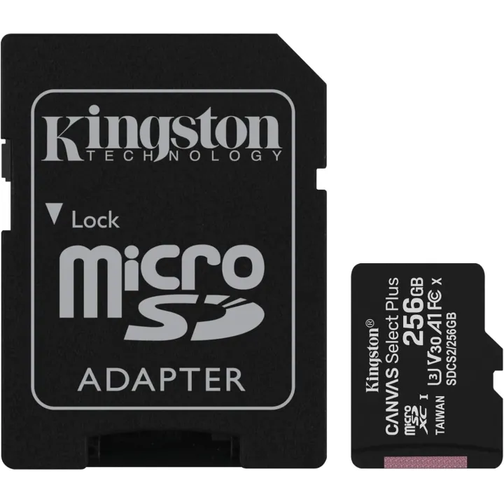 KINGSTON Carte mémoire microSDXC 256Go