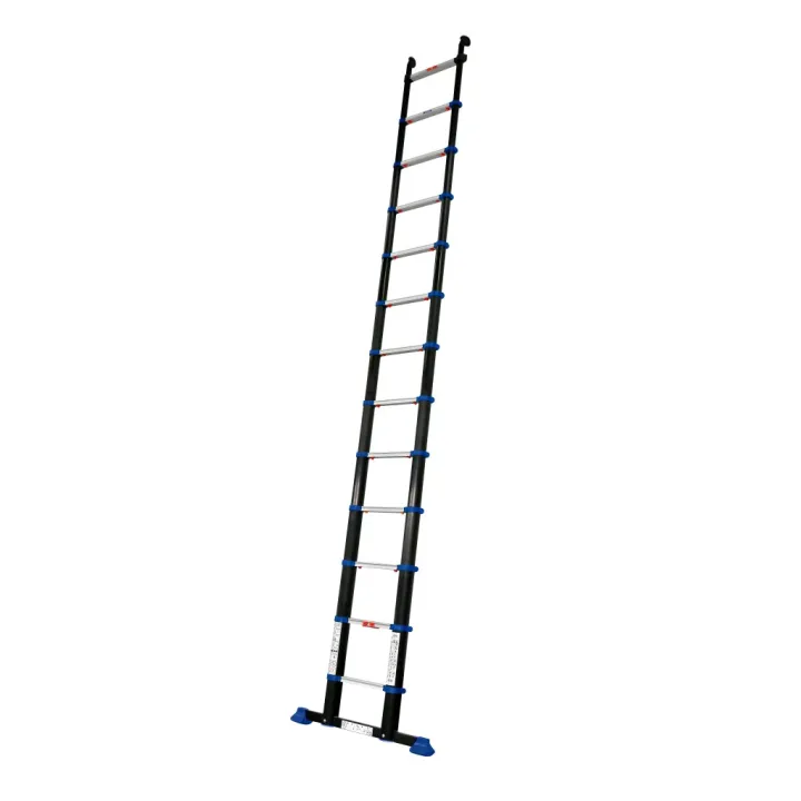 ECH BAMBOU TELESCOPIQ 13Bx 3.80