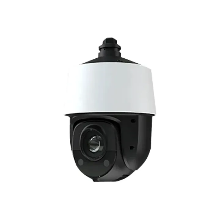 Caméra Mini-Dome Motorise Ip 2Mpx Ptz ×25 Boîte 1 Pc