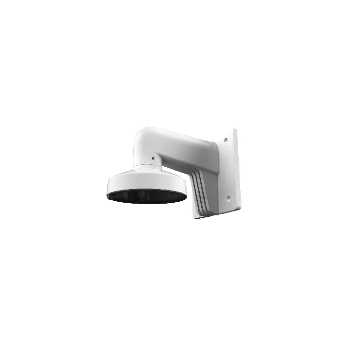 Ds-1272Zj-110 Support Mural