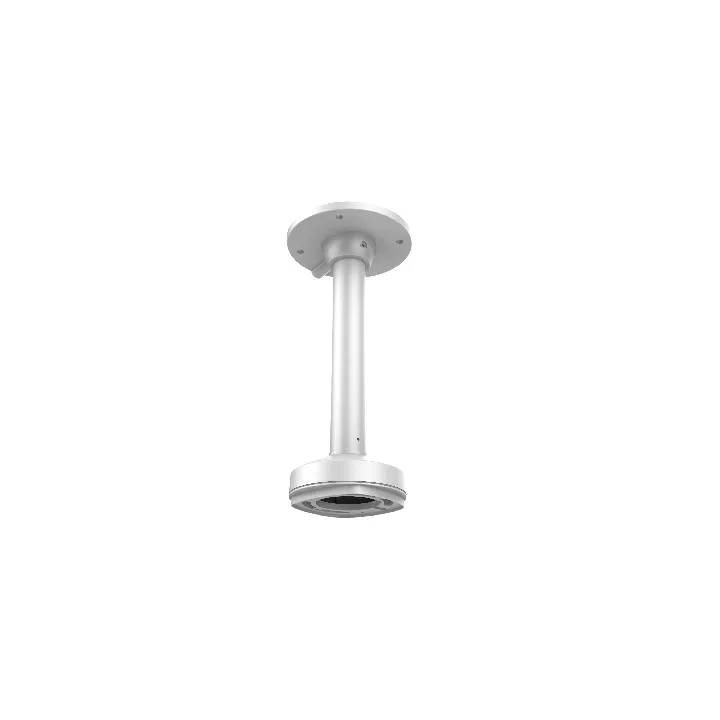 Ds-1271Zj-120 Support Suspendu