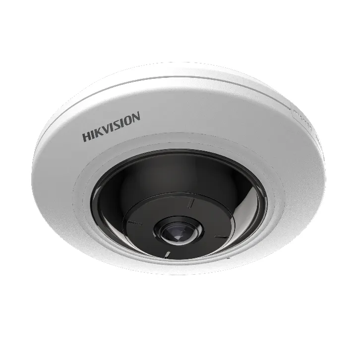 Ds-2Cd2955G0-Isu105Mm Caméra Fisheye 5Mp, 180°, Wdr De 120 Db