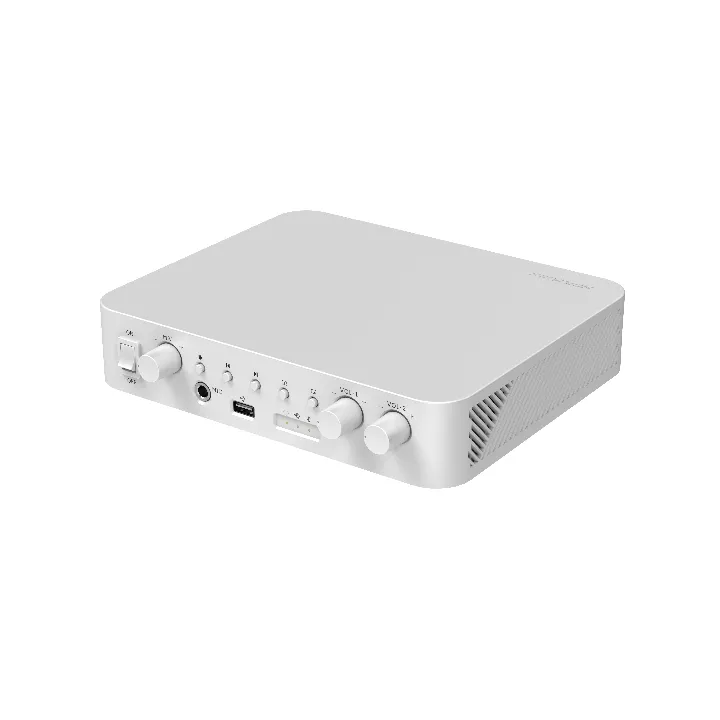 Ds-Qae0A60G1-Vb Amplificateur Audio Avec Bluetooth