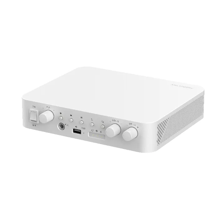 Ds-Qae1A80G1-Vb Amplificateur Reseau 80W 2 Zones